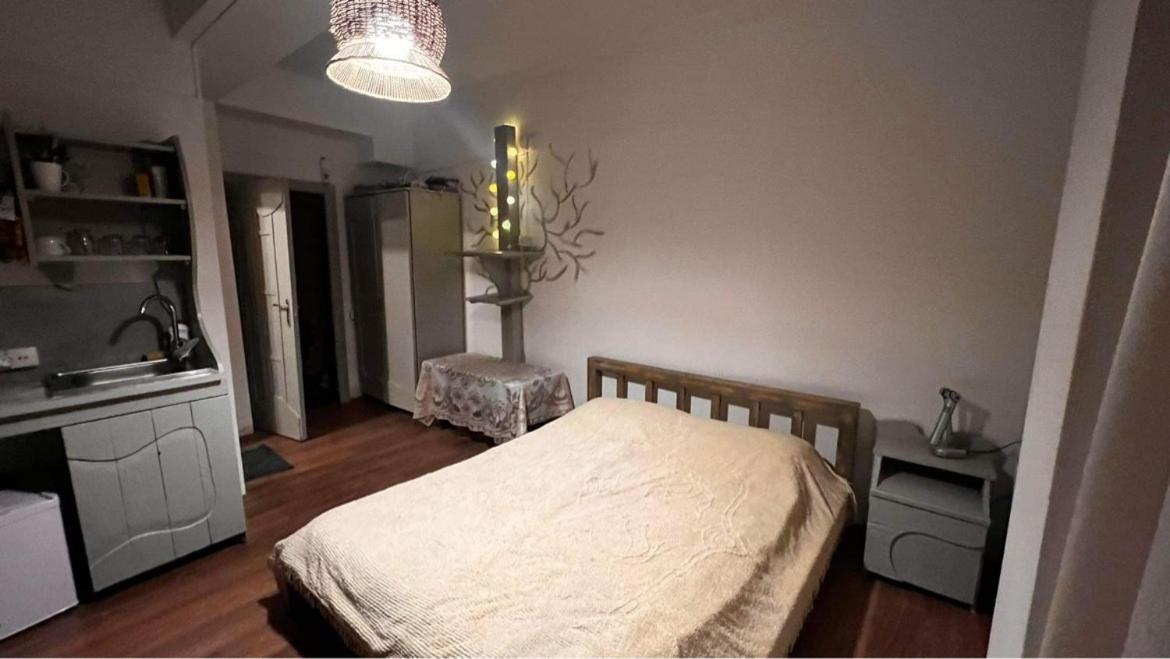 Hotel Mgzavrebi Bakuriani Εξωτερικό φωτογραφία