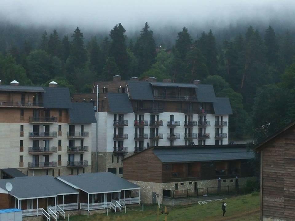 Hotel Mgzavrebi Bakuriani Εξωτερικό φωτογραφία