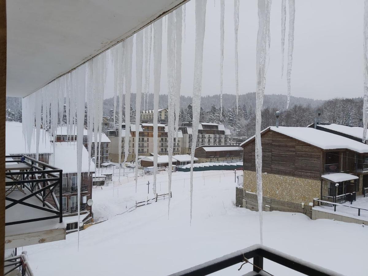 Hotel Mgzavrebi Bakuriani Εξωτερικό φωτογραφία