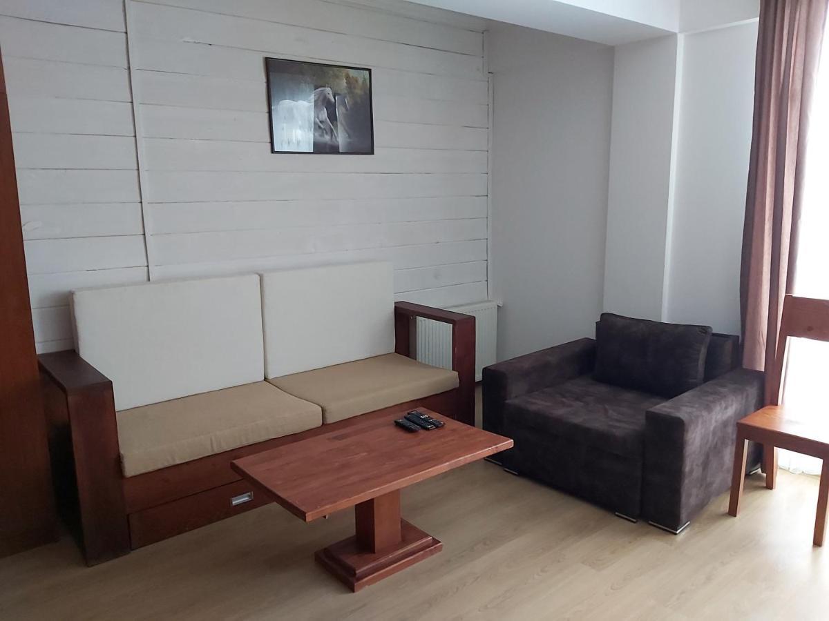 Hotel Mgzavrebi Bakuriani Εξωτερικό φωτογραφία